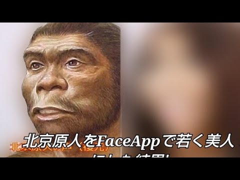 北京原人をfaceappで若く美人にした結果 Youtube