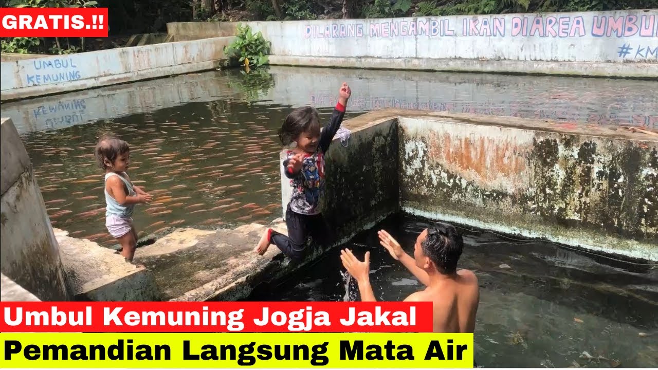 vlog-4-alisia-berani-berenang-loncat-di-kolam-mata-air-umbul-kemuning