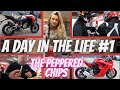 A Day In The Life #1... Peppered Chips, Ducati SuperSport 950s & Multistrada v4s Sport Livery