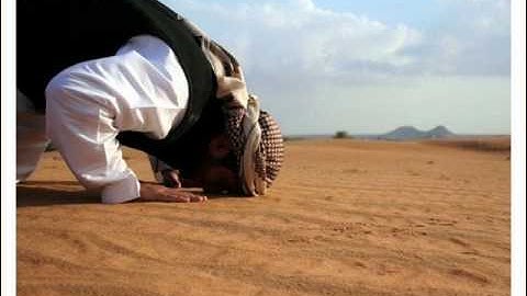 الشيخ سعد الغامدي || سورة السجده !!