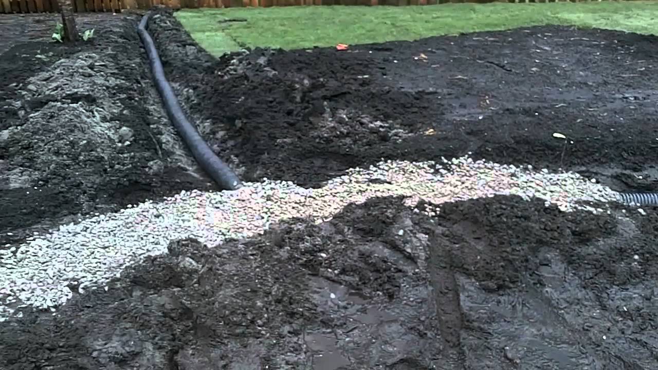 How We Ensure Our Yards Are DRY Not Muddy YouTube