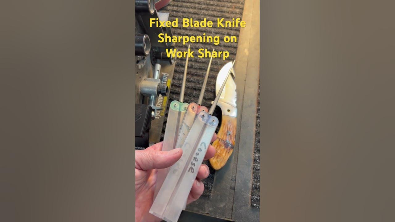 Sharpening a fixed blade hunting knife & gut hook on the Work