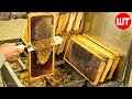 How its made honey  honey cultivation and processing