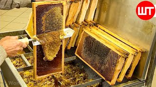 How It&#39;s Made Honey | Honey Cultivation and Processing