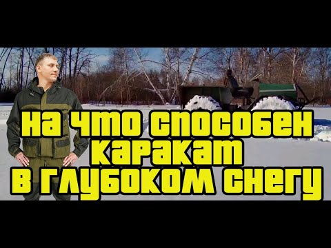 На что способен каракат в глубоком снегу?💥💥💥