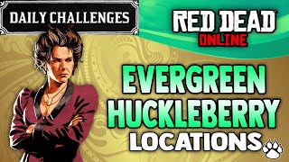 Red Dead Online - Evergreen Huckleberry Locations - RDR2 Daily Challenge Evergreen Huckleberries
