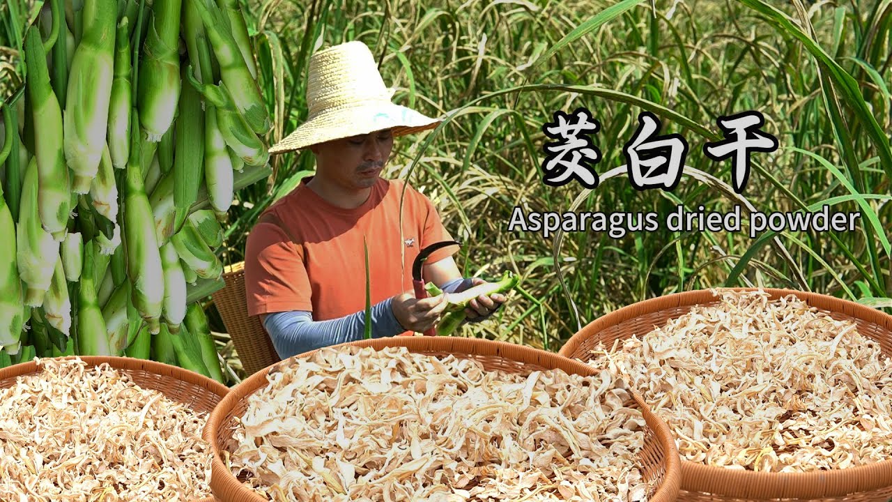 茭白晾晒成茭白干，保存300天不会变质。保留住食材原有的鲜味，以后用来炒肉煲汤都可以。#茭白 #ram #中国美食 #delicious #cooking #healthy