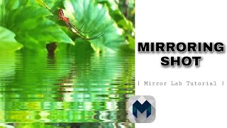 MIRRORING SHOT | Mirror Lab Tutorial screenshot 5