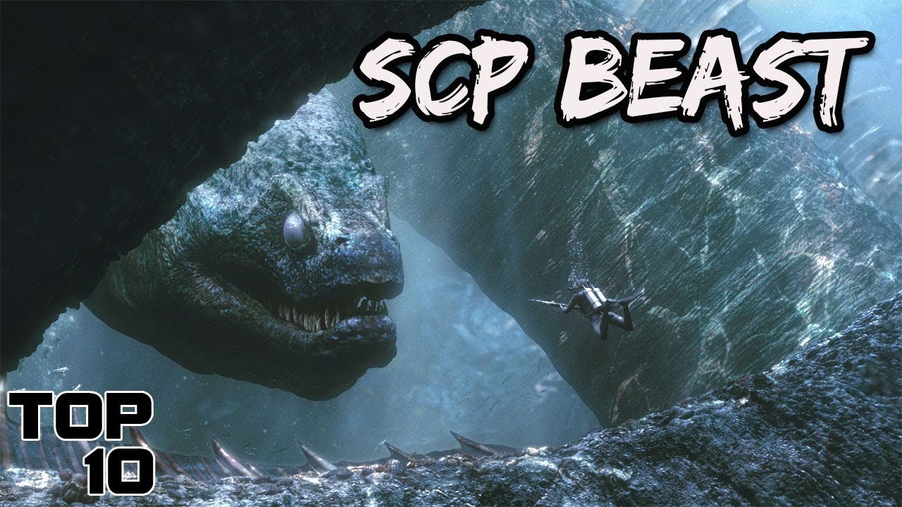 fyp #SCP #scary #creepy #viral #interesting #giant #eel #strong Make