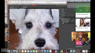 Photopea Low Poly Portrait