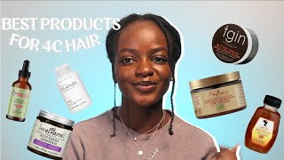 THE BEST HAIR PRODUCTS FOR DRY 4C NATURAL HAIR 2023 | High Porosity Hair