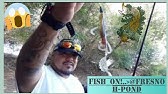 Mendota Slough H Pond Palm Nees Popular Fishing Spots In Fresno Ca Youtube