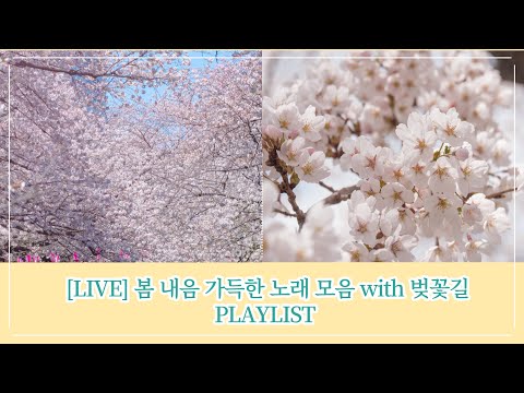 (광고없음) [LIVE] 봄 내음 가득한 노래 모음 with 벚꽃길ㅣPLAYLISTㅣKBS방송