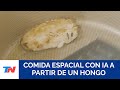 Argentinos inventaron comida espacial con IA a partir de un hongo y sueñan terminar con el hambre