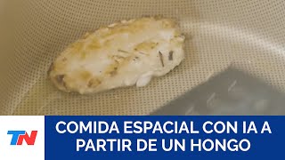 Argentinos inventaron comida espacial con IA a partir de un hongo y sueñan terminar con el hambre