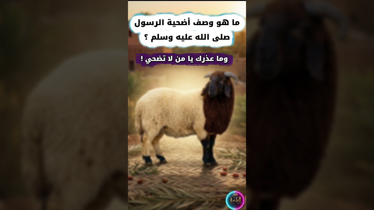 ما هو وصف أضحية الرسول ﷺ ؟ وما عذرك يا من تقدر على الأضحية وتتركها ! | الشيخ عبدالله القصير