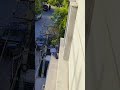 Sukoon ke pal... ek pyaara sa kabootar aur sheher ki raunak. #Pigeon #BirdsOfIndia #BalconyView