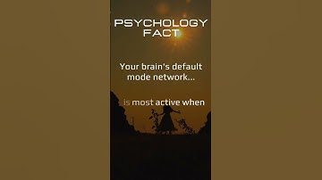 Unlocking the Mystery of the Brain