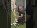 The Secret To Fix Tight Hamstrings