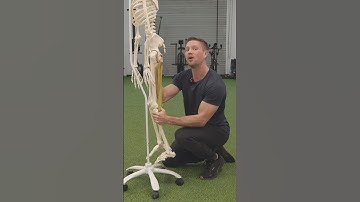 The Secret To Fix Tight Hamstrings