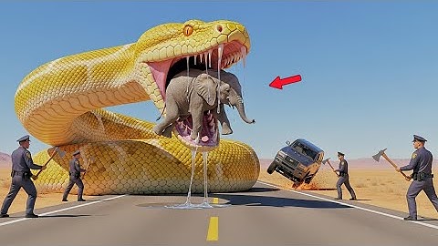 Brave Heroes Rescue Team Fights Giant Cobra 🐍To Save Baby Elephant 🐘 
