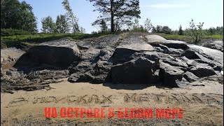 Коп металлолома в Белом море с Go-Find &amp; Garrett Ace!