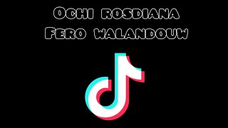 TIK TOK ALA OCHI ROSDIANA DAN FERO WALANDOUW