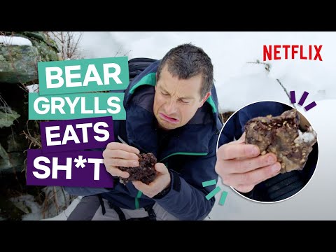 bear-grylls-eats-bear-poo-in-you-vs.-wild