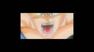 Nanibeenlandin 25600