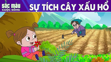 SỰ TÍCH CÂY XẤU HỔ - Truyện cổ tích - Phim hoạt hình - Tổng hợp phim hoạt hình hay