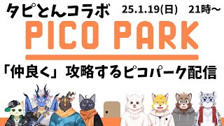 【タピとんコラボ】「仲良く」謎解きする配信【PICO PARK】