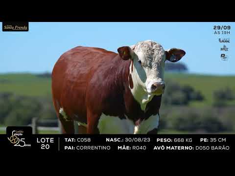 LOTE 020