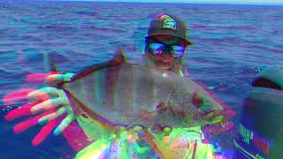 Kanaltrailer Fishfizzle