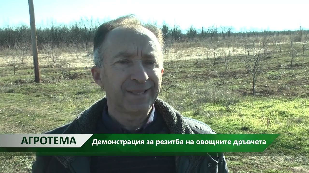 Резитба на овощни дръвчета