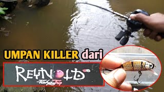UMPAN KILLER UNTUK MANCING HAMPALLA dari REYNOLD SB FISHING TRIP