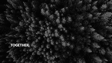 Together: from log to shelf-ready pack