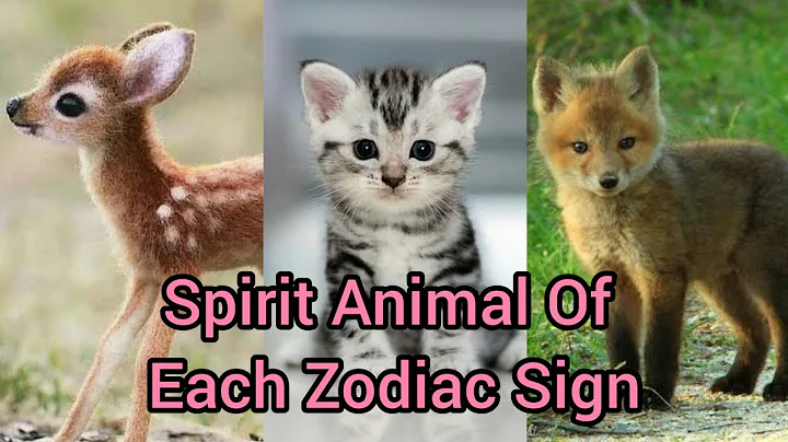 Zodiac Signs As Animals| Your Spirit Animal| Which Animal Are You Based On Your Zodiac Sign #zodiac - DayDayNews