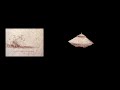 "Leonardo da Vinci" screensaver from Microsoft Plus! for Windows 95 (1995)