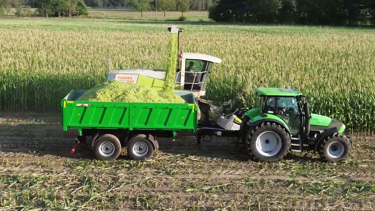 🌽Kukurydza na Kiszonkę 2025🌽John Deere i DEUTZ-FAHR  CLAAS JAGUAR 860🔥 Usługi Rolnicze GR Malepszy