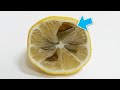 檸檬不只用來吃喝！檸檬原來隱藏13個用途！13 Awesome Lemon Life Hacks