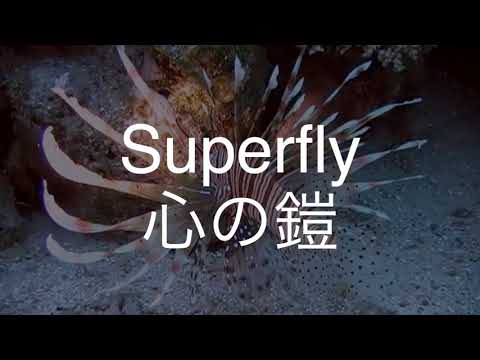 心の鎧/Superfly　歌ってみた　　　　映画 闇金ウシジマくん Part3 主題歌