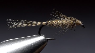 Wood Duck Nymph