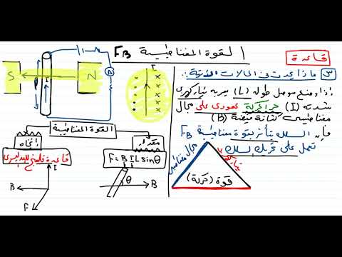 القوة المغناطيسية