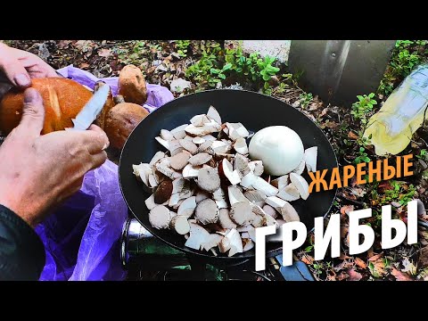 #19 Побег из плена ветра | Жареные грибы | Поход 2021