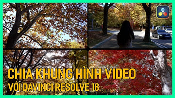 Chia khung hình trong Davinci Resolve 18 | Tú Thanh Blog