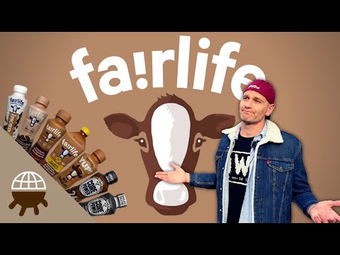Fairlife Chocolate Milk Review