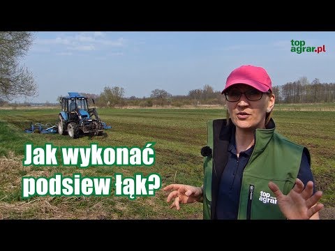 Pogotowie polowe TAP: