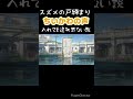 すずめの戸締まりにちいかわ参戦しても違和感なく聞ける説。 #ちいかわアニメ #ちいかわ #music #すずめの戸締まり