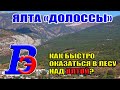 Ялта. Санаторий "Долоссы", ущелье Уч-Кош, ПГТ Советское. Крым. Март 2021