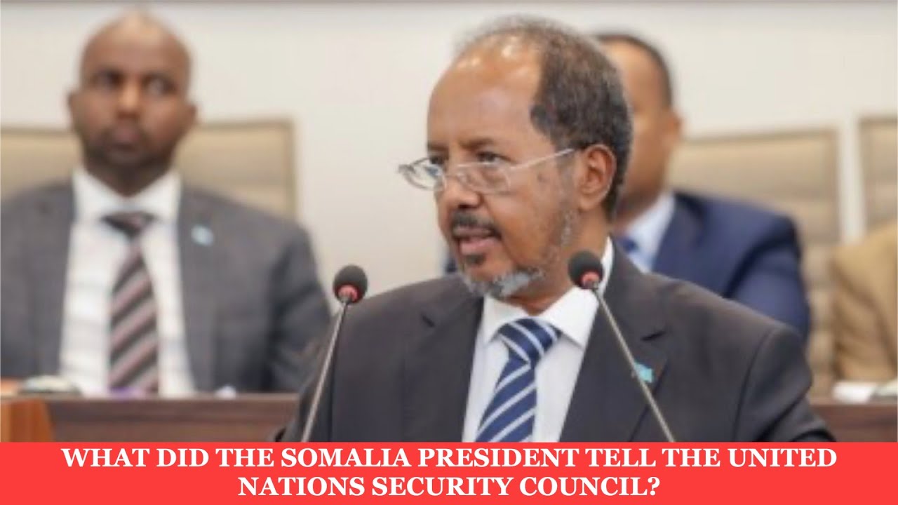 WHAT DID THE SOMALIA PRESIDENT TELL THE UNITED NATIONS SECURITY COUNCIL ...
